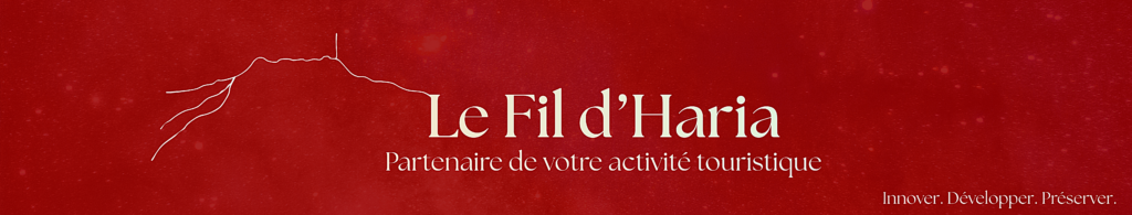 la rhune developpement commercial hotel restaurant hotellerie camping Pays basque partenariat hotelier evenementiel loisir culture divertissement sport groupe seminaire hors saison basse saison cote basque partenariat local Euskadi Euskal Herria landes bearn sud ouest developpement patrimoine marketing hotel clef verte accompagnement marketing hotel commercial hotel pays basque accompagnement restaurant pays basque attirer clients hotel restaurant organiser seminaire hotel pays basque attirer groupes hotel attirer client hors saison pays basque